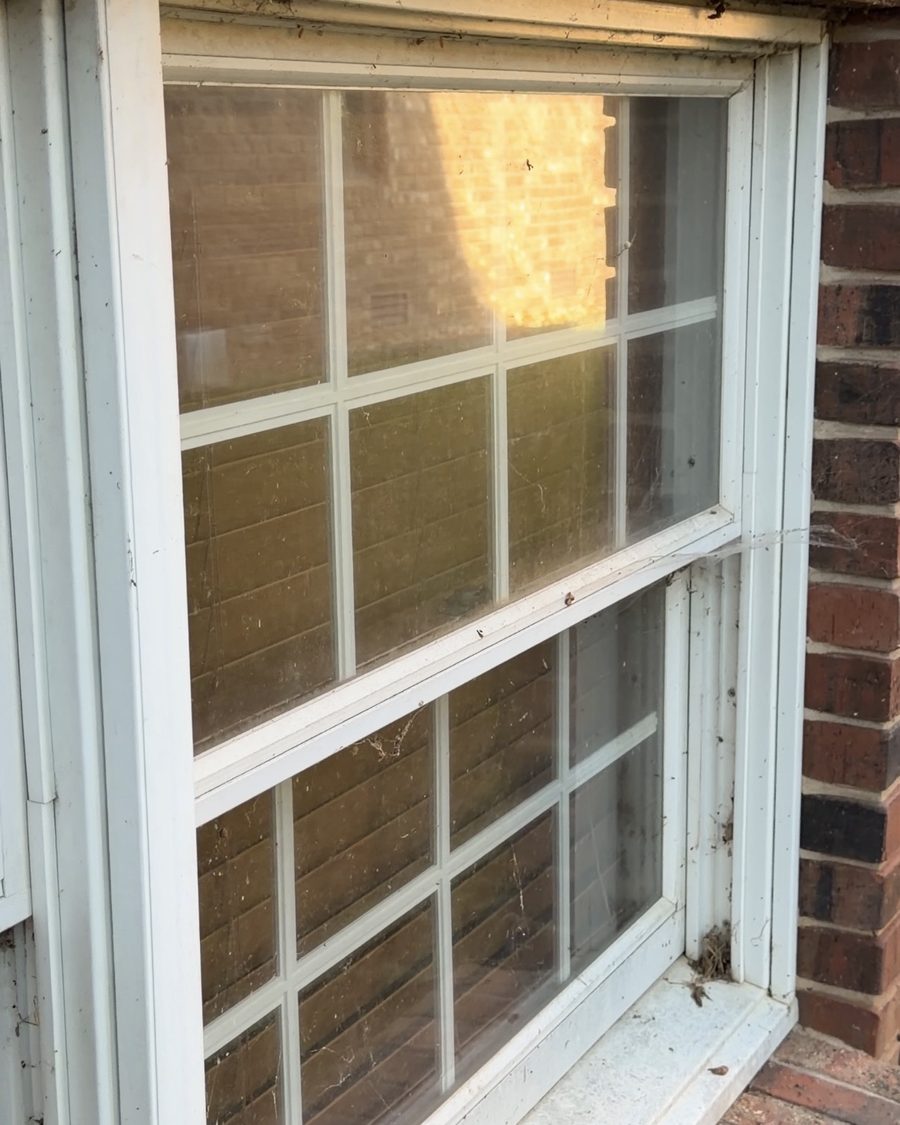 Window before cleaning — dusty glass with cobwebs